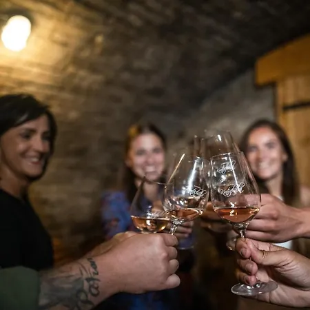 Vinarstvi Kratochvila *